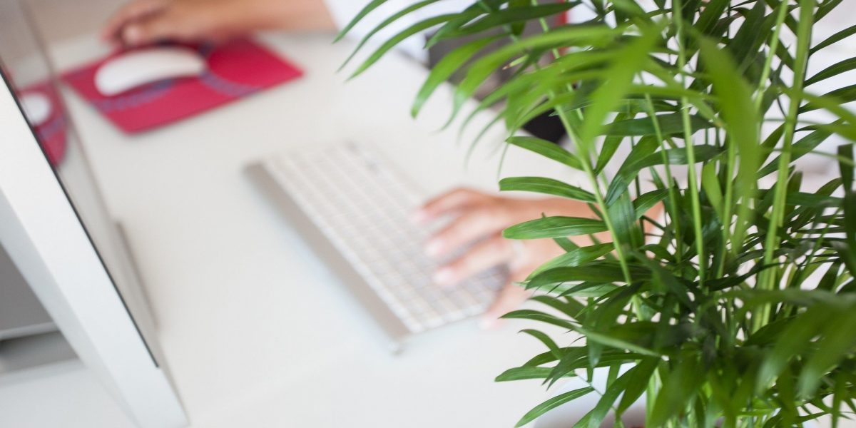 Ley 10/2021: Todo lo que necesitas saber sobre la ley del teletrabajo y el trabajo a distancia